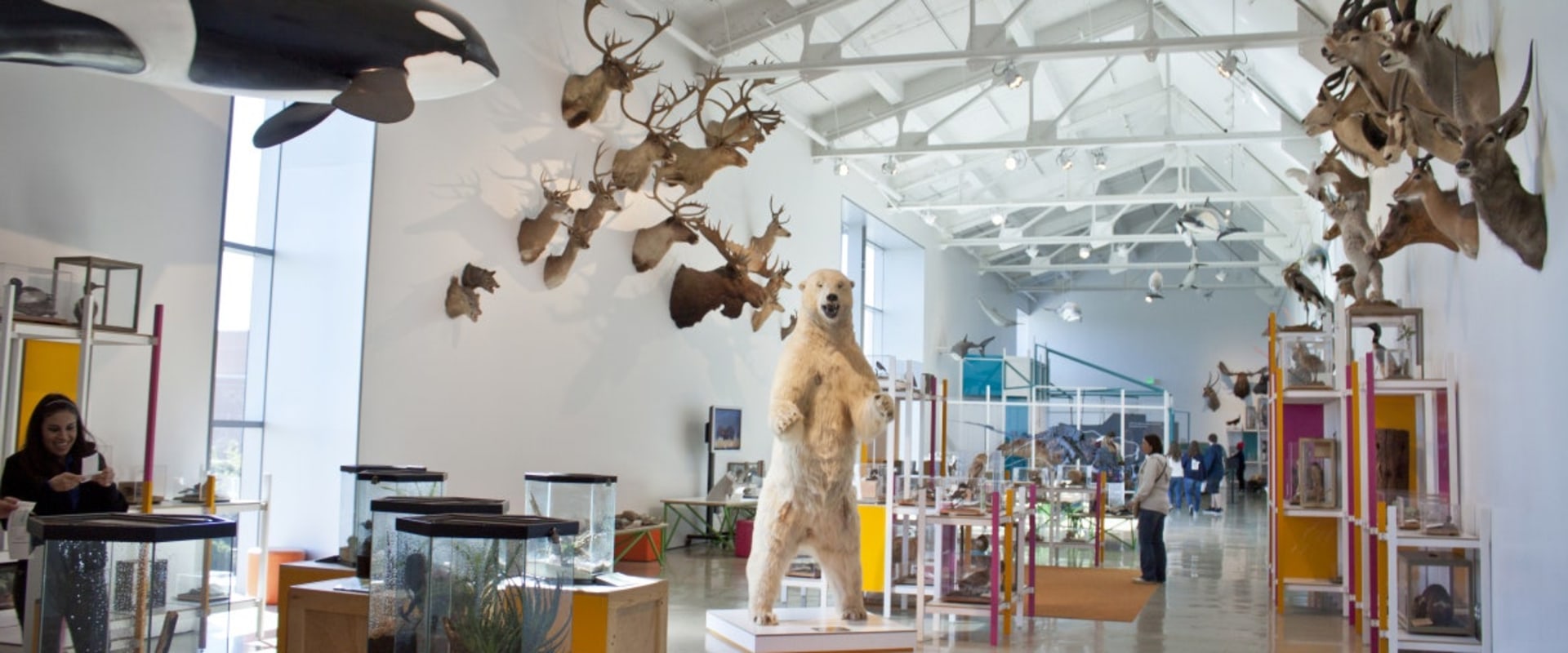 The EverEvolving Art Scene of Los Angeles County